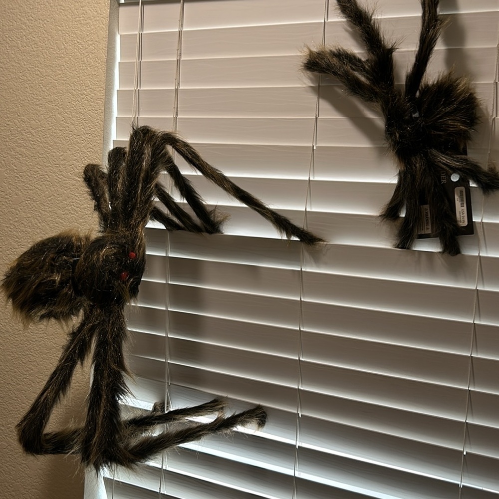 (2) Spirit Halloween Spiders